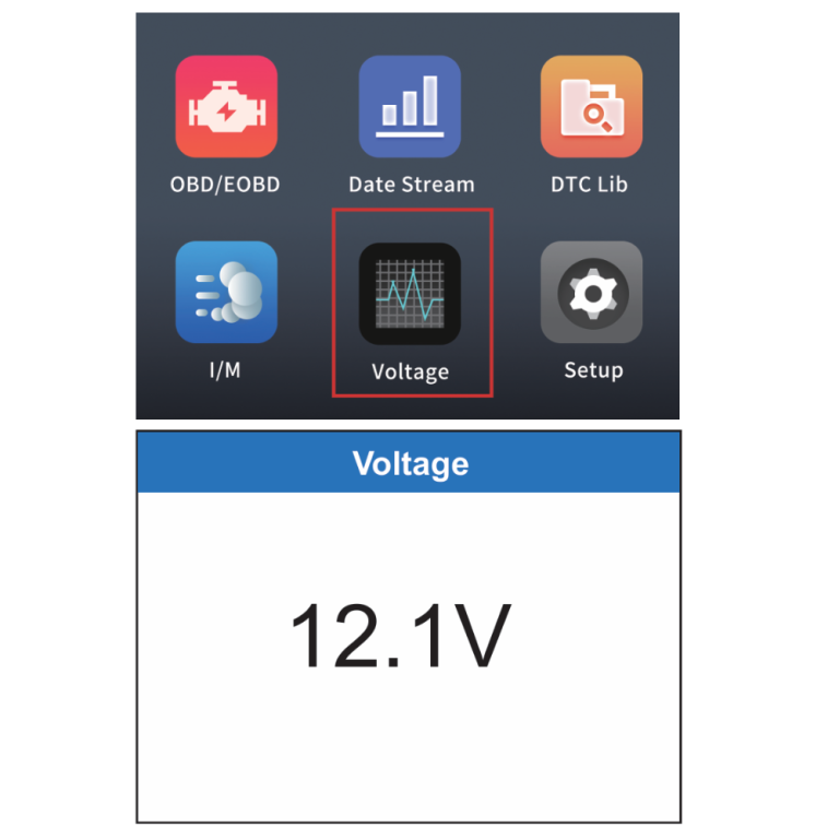 v317